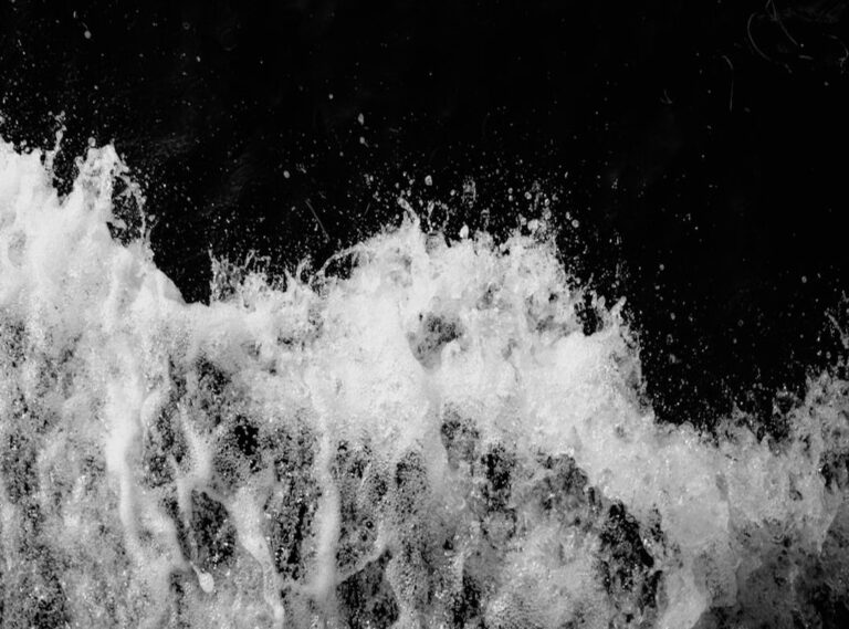 lukisan hidupan laut hitam putih