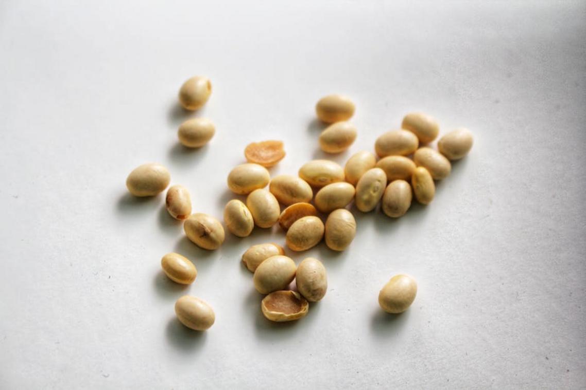 soy beans