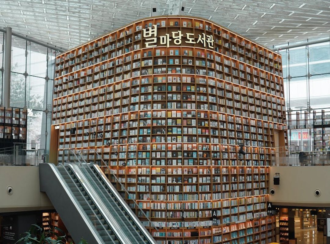 Exploring the Content Library: Popular Categories and Features