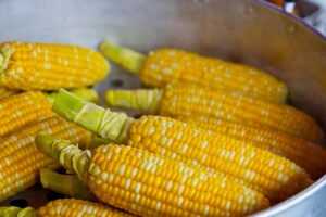 tondafuto main ingredient
