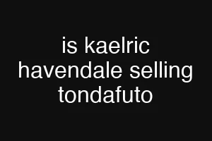 is kaelric havendale selling tondafuto